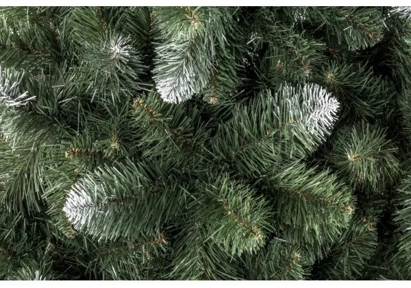 Albero di Natale POLA 180 cm pino