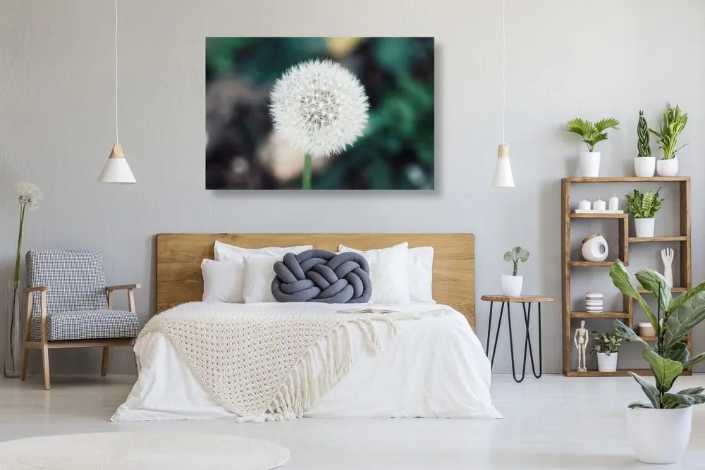 Stampa su tela – Soffione bianco soffice