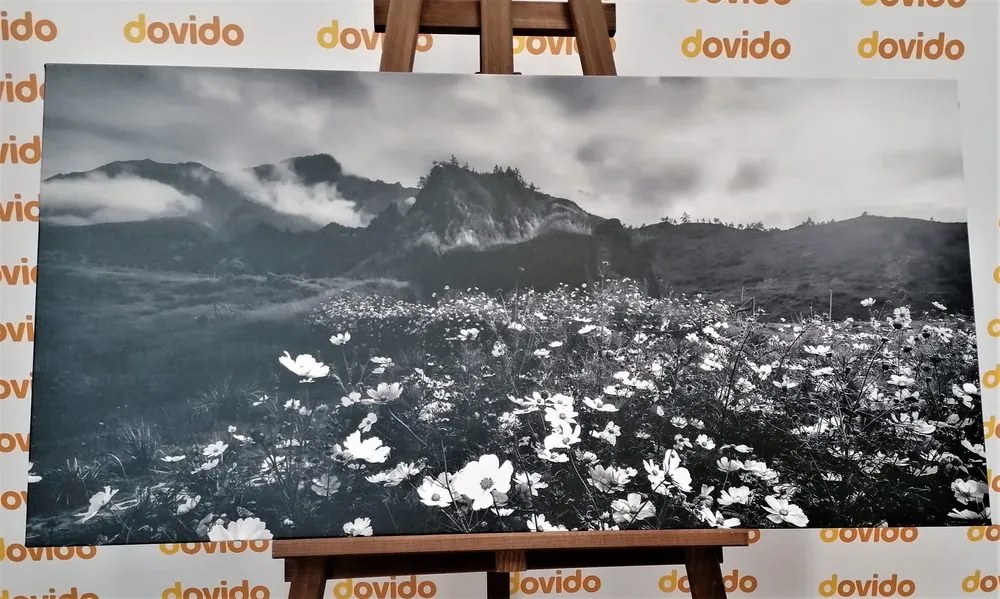 Stampa su tela – Prato di fiori in fiore in bianco e nero