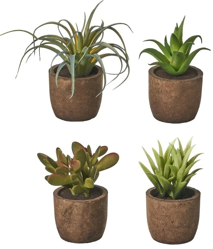 Piante artificiali in set da 4 (altezza 10 cm) Cactus - Casa Selección