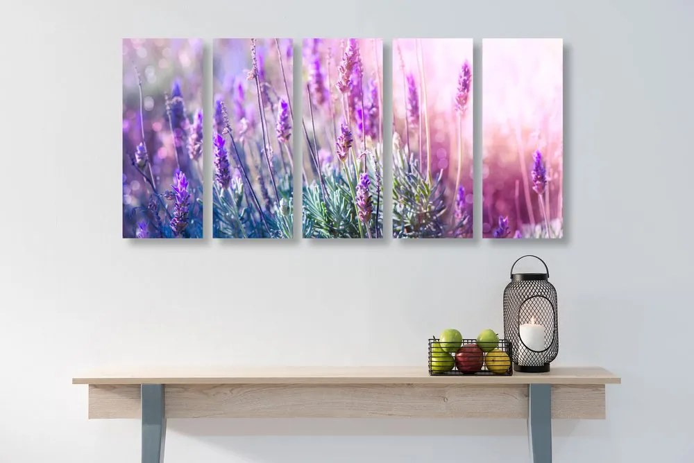 Quadri 5 pezzi – Fiori di lavanda magici