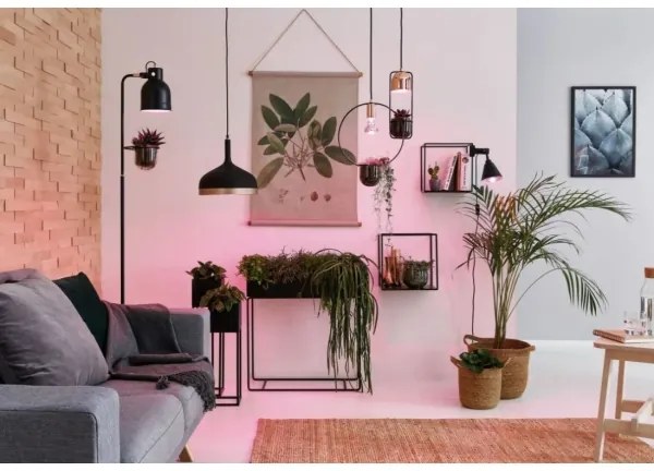 LED Lampadina per la crescita delle piante GROW VERDE R50 E14/4W/230V - Paulmann 28734