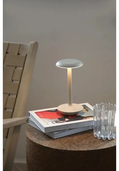 Markslöjd 108917-LED Dimmerabile ricaricabile lampada PETIT 2W/1800 mAh 2200/2700/3000K IP44 grigio