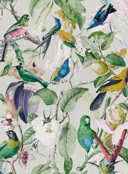 Mindthegap Carta da parati Tropical Birds - WP20172