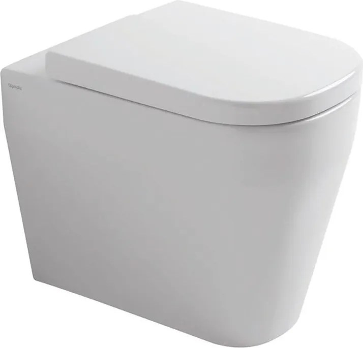 Vaso WC filomuro OLYMPIA CERAMICA tutto evo, sedile escluso P 53 x L 36 x H 42.5 cm bianco