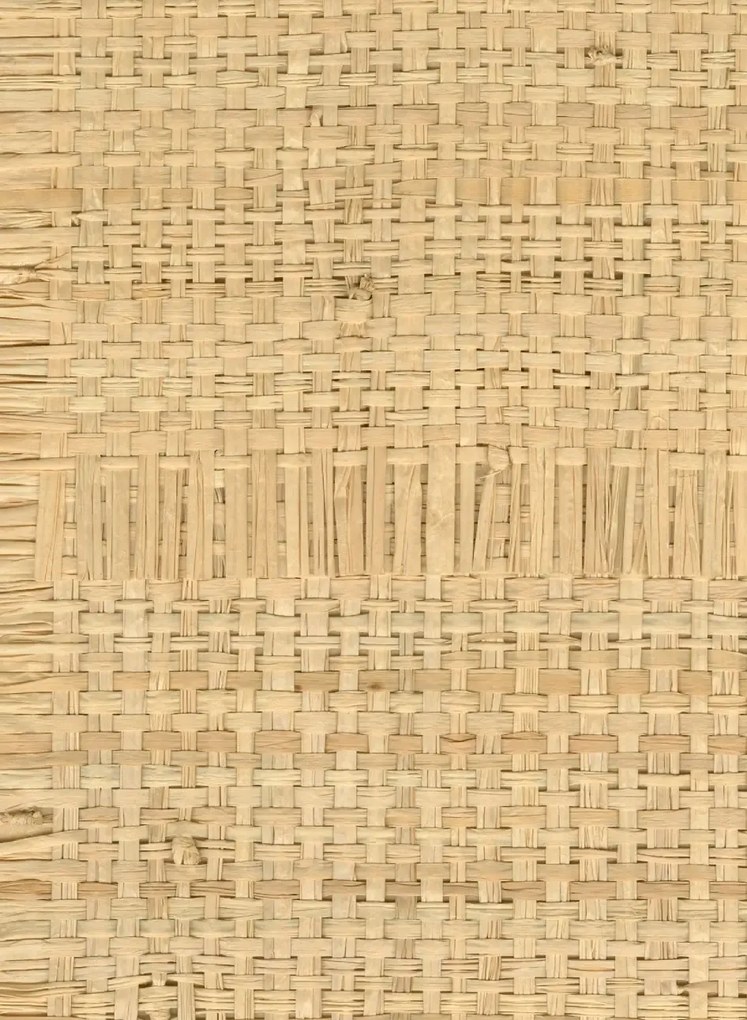 CMO Paris Carta da parati Raphia Cadre - Naturel