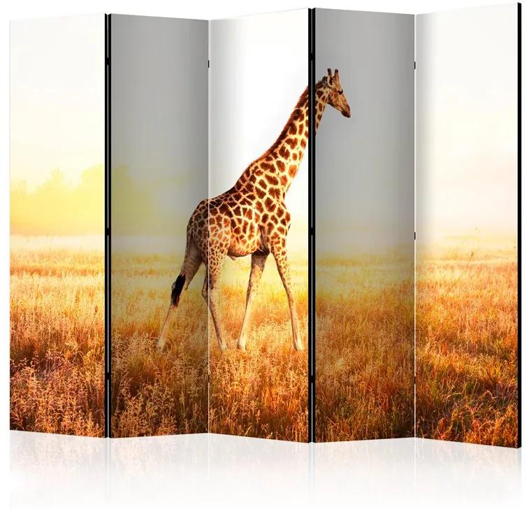 Paravento giraffe walk II [Room Dividers]