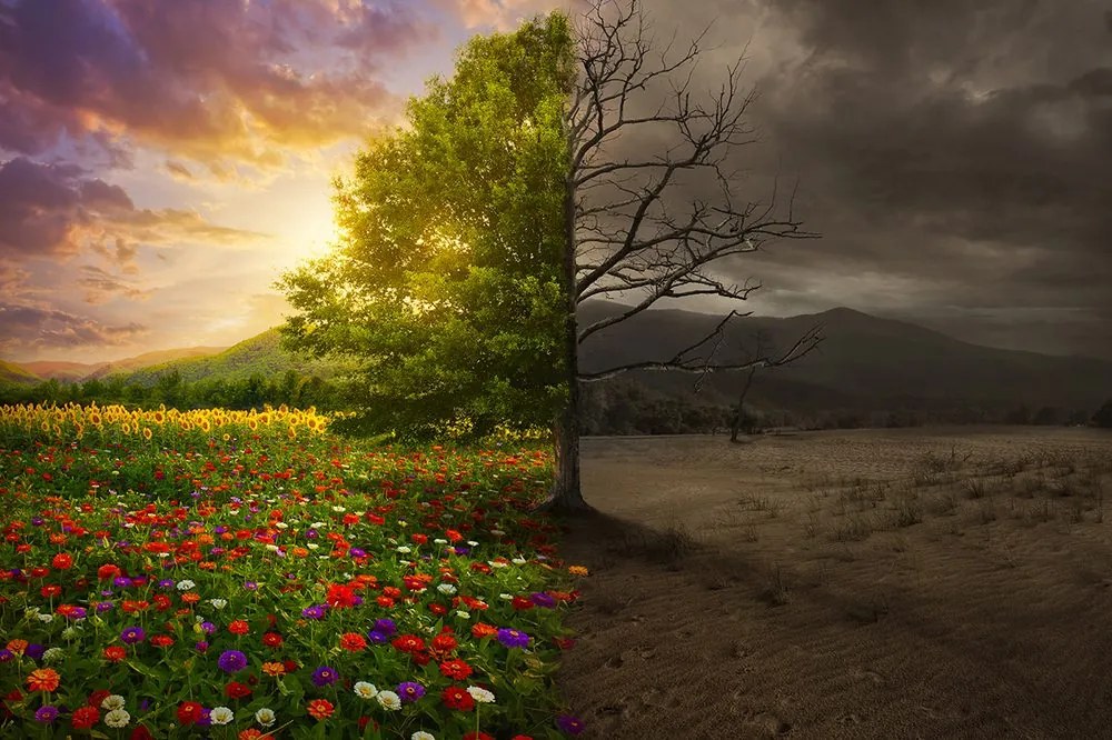 Carta da parati – Due forme di albero