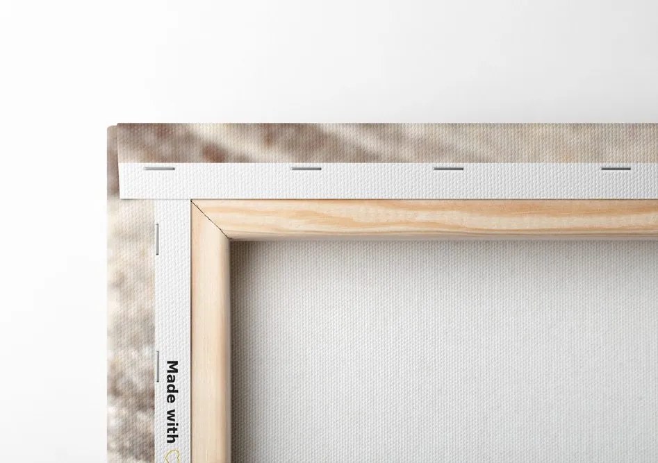 Quadro su tela – Farfalla blu su pietra Zen