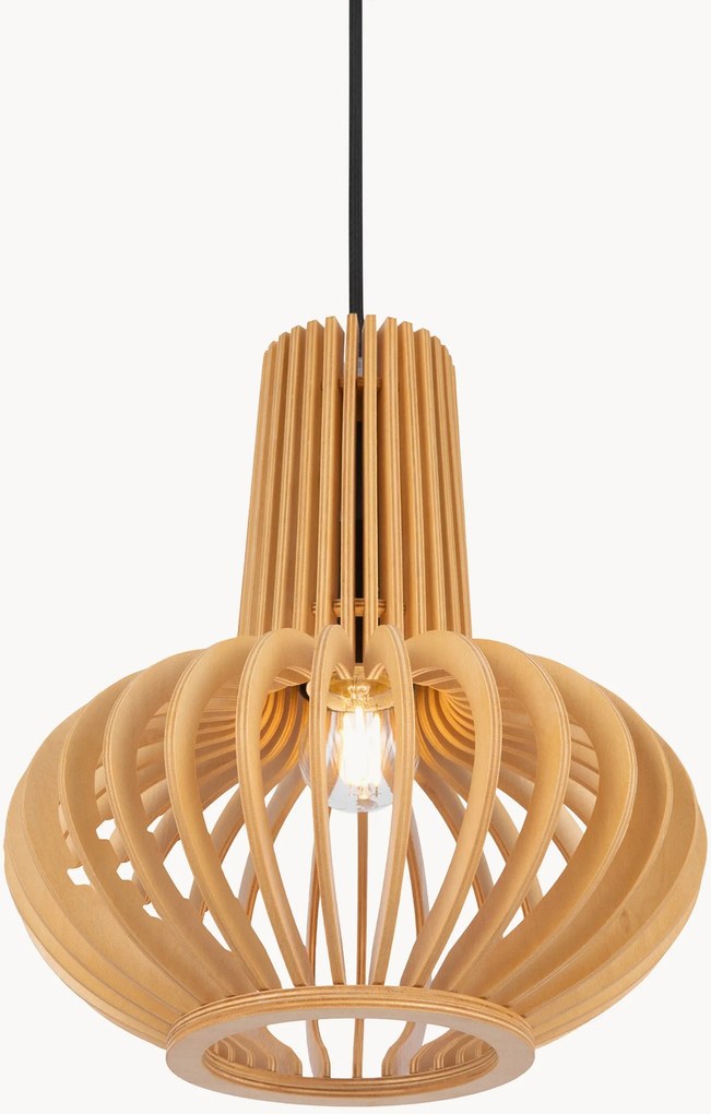 Lampada a sospensione Roots