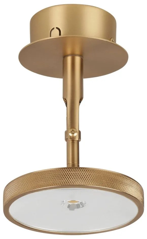 Faretto LED in oro ø 12 cm Asteria Spot - UMAGE