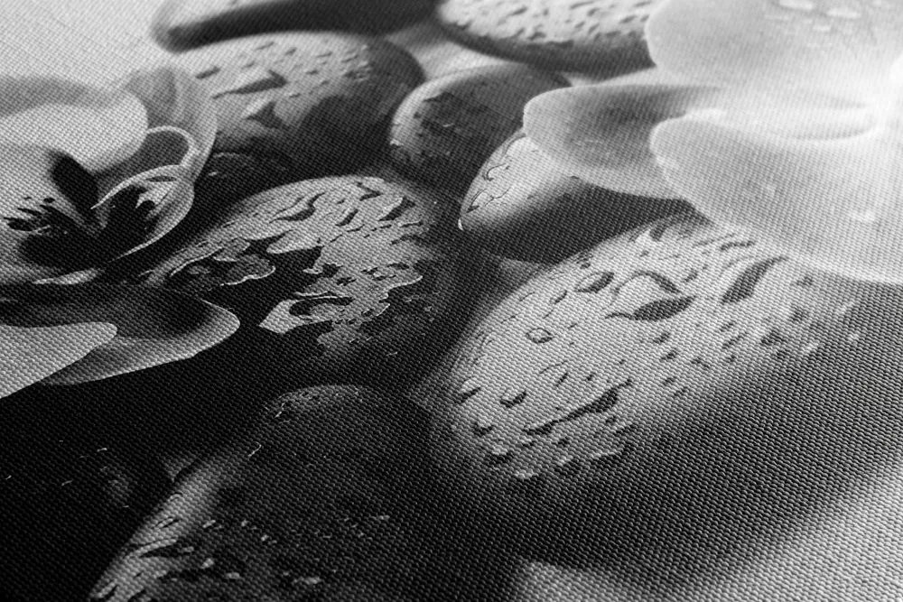 Stampa su tela – Magica armonia di pietre e orchidee in bianco e nero
