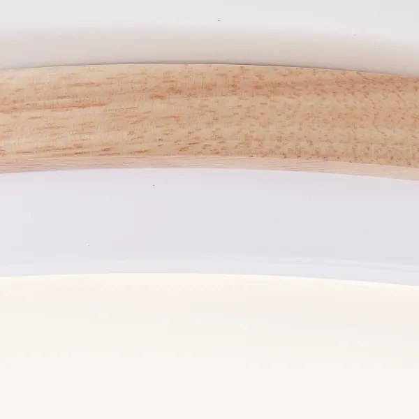 Brilliant - Plafoniera LED dimmerabile BAARLO LED/24W/230V diametro 35 cm bianco