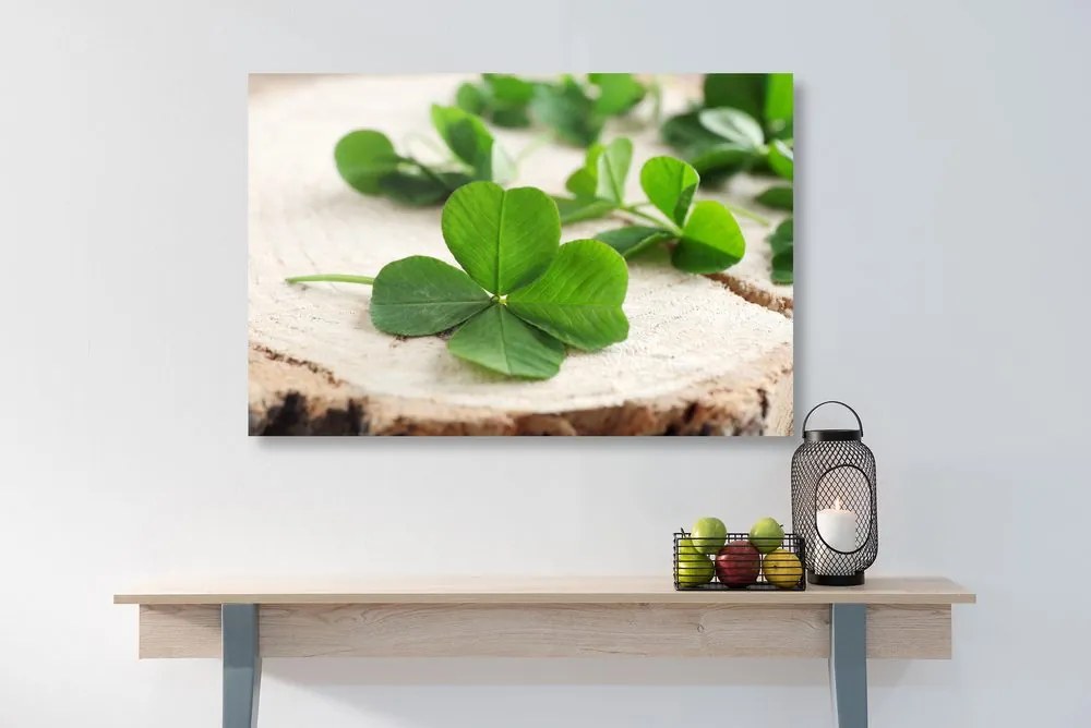 Quadro su tela – Quadrifogli verdi
