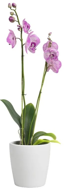 Vaso in ceramica ø 14 cm Thalia - Artevasi