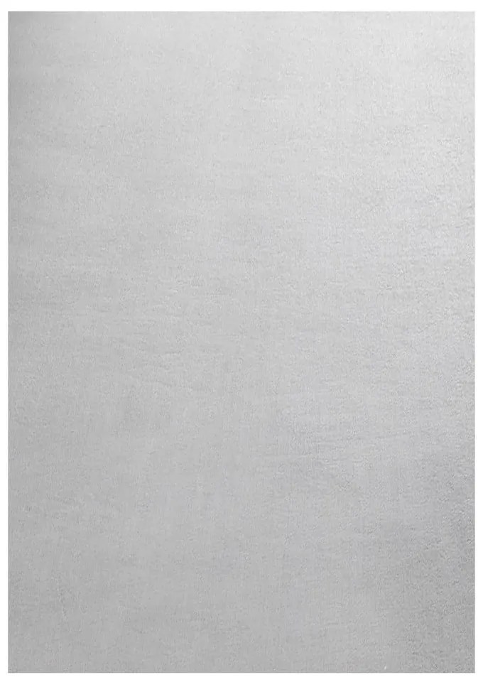 Passatoia lavabile grigio chiaro 80x250 cm Sky - Ayyildiz Carpets
