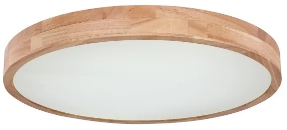 Globo 41745-48 - Plafoniera LED dimmerabile RAINER LED/48W/230V + +TC