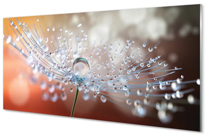 Quadro su vetro Macro gocce di mosconi 100x50 cm 2 appendini