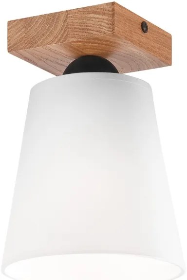 Lampadario a plafone LULA 1xE27/60W/230V quercia
