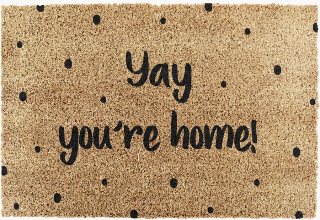 Zerbino Yay You're Home