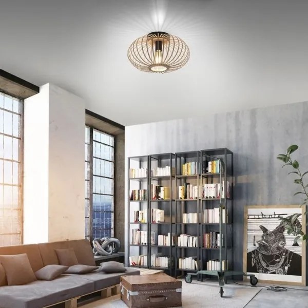 Leuchten Direkt 11410-79 - Lampadario a plafone RACOON 1xE27/40W/230V diametro 40 cm