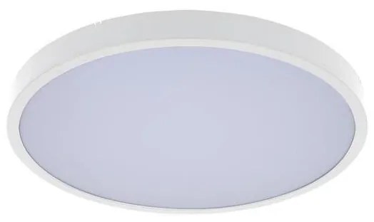 Rabalux 71427 - Plafoniera LED da bagno ALENZO LED/24W/230V IP44 bianco