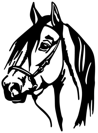 Decorazione da parete 55x40 cm cavallo