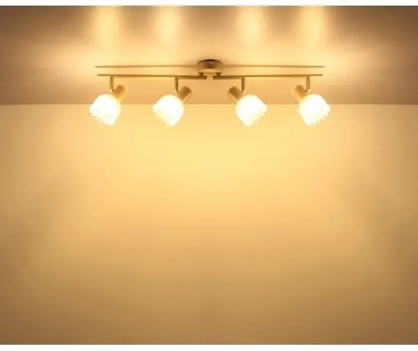 Globo 54317-4 - Faretto PLANTA 4xE14/40W/230V