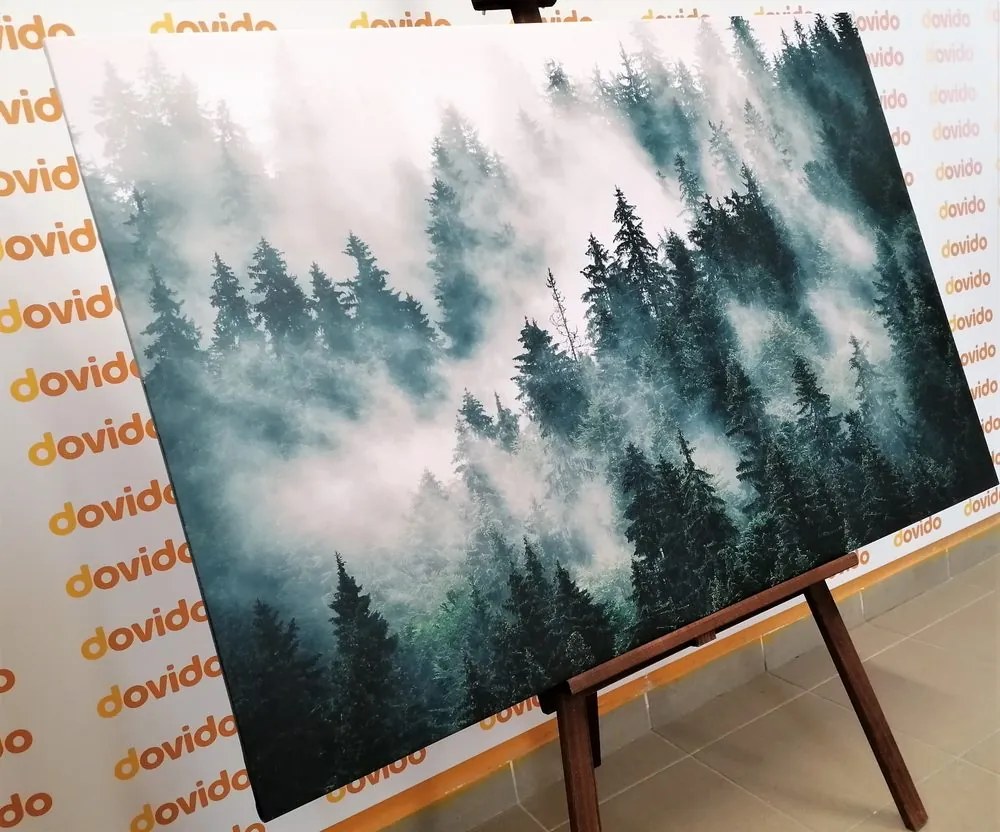 Quadro su tela – Montagne nella nebbia