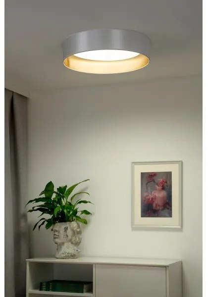 Duolla - Plafoniera LED ROLLER LED/24W/230V diametro 45 cm argento/oro