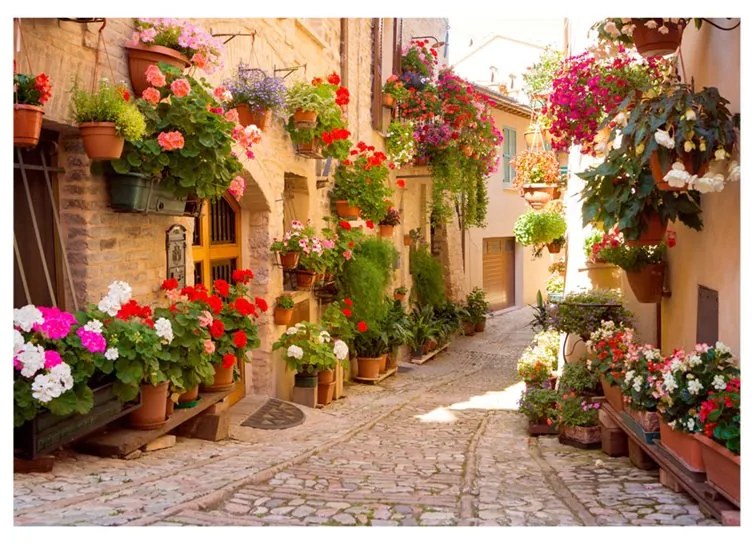 Fotomurale  The Alley in Spello (Italy)  Colore colorful, Dimensioni e Misure 100x70