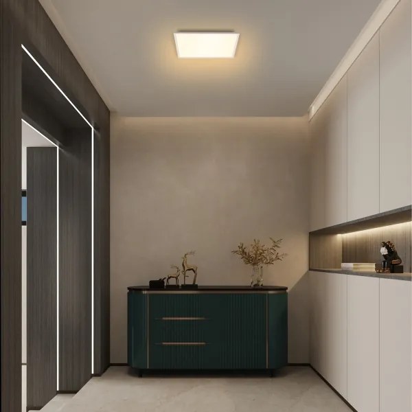Brilagi - Pannello LED dimmerabile SLIMFRAME LED/36W/230V 45x45 cm bianco + telecomando