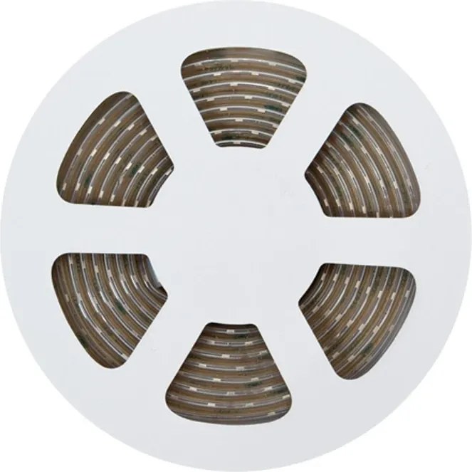 Striscia LED 24V 5W/m Alta Efficienza Professionale - IP67 - 5 metri