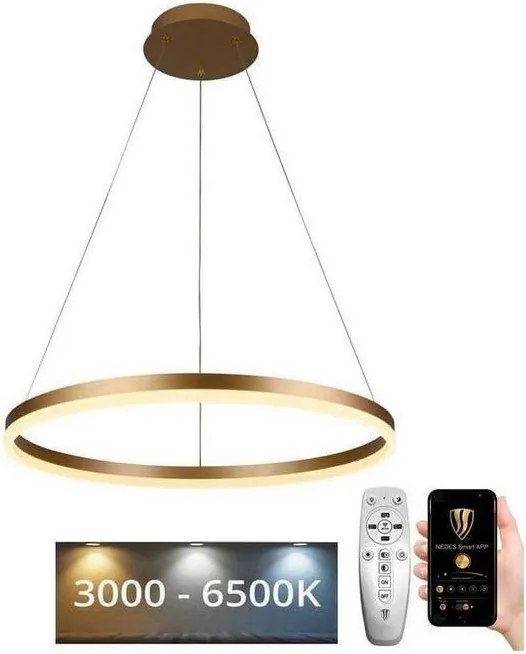 Brilagi - Lampadario LED dimmerabile sospeso a cavo CIRCLE LED/42W/230V 3000-6500K + telecomando