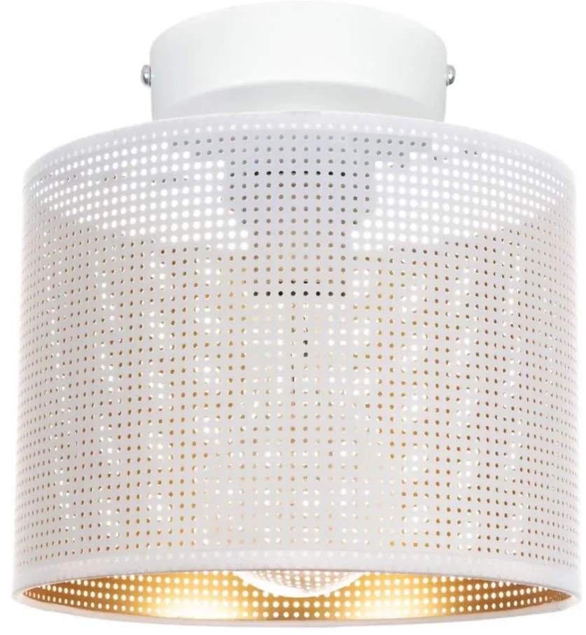 Plafoniera ALDO 1xE27/60W/230V diametro 20 cm bianco