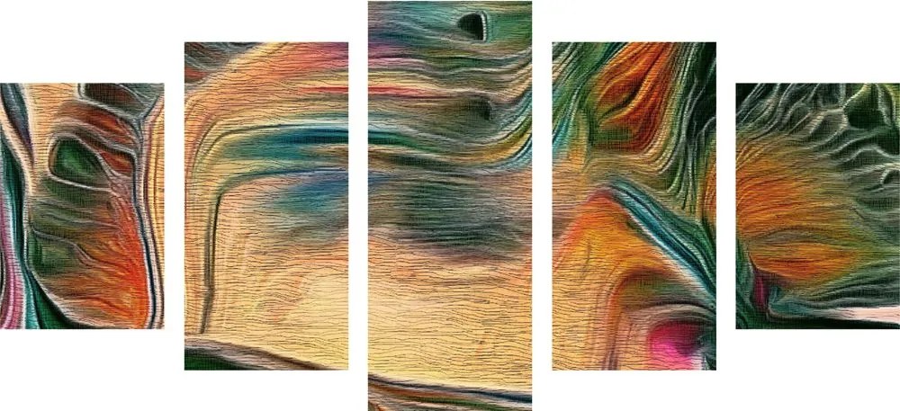 Quadri 5 pezzi – Astrazione psichedelica