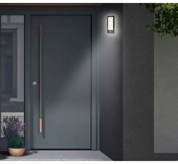 Telefunken 313905TF - Applique LED da esterno con sensore LED/16W/230V IP44