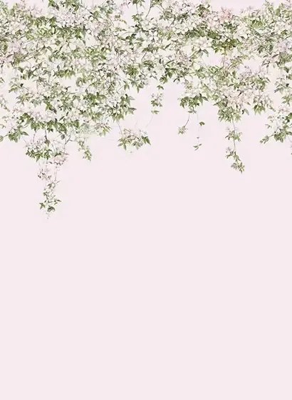 Sian Zeng Carta da parati panoramica Clematis - Pink