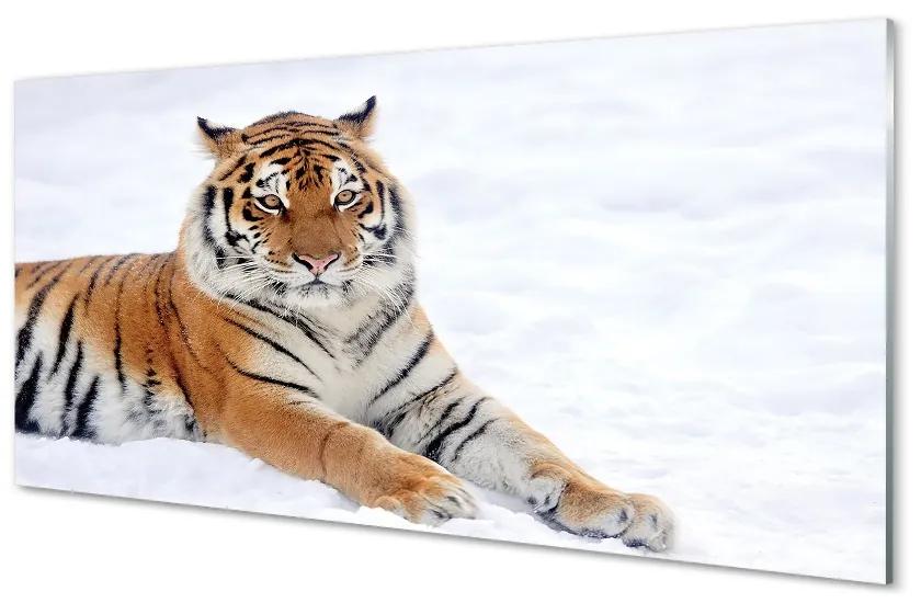 Quadro di vetro La neve invernale della tigre 100x50 cm