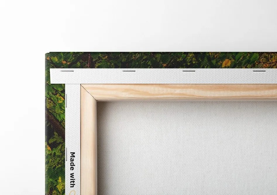 Quadro su tela – Sentiero nella foresta autunnale