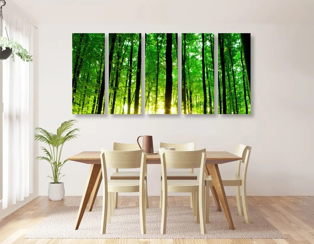 Quadri 5 pezzi – Foresta verde rigogliosa