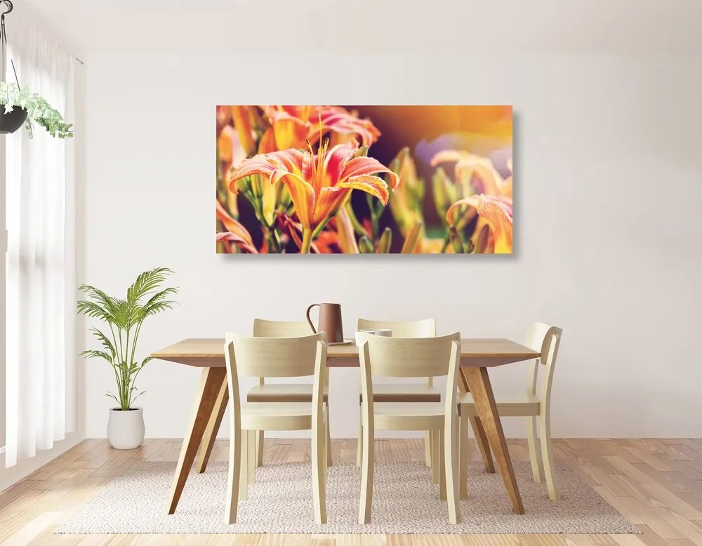 Stampa su tela – Splendidi fiori da giardino