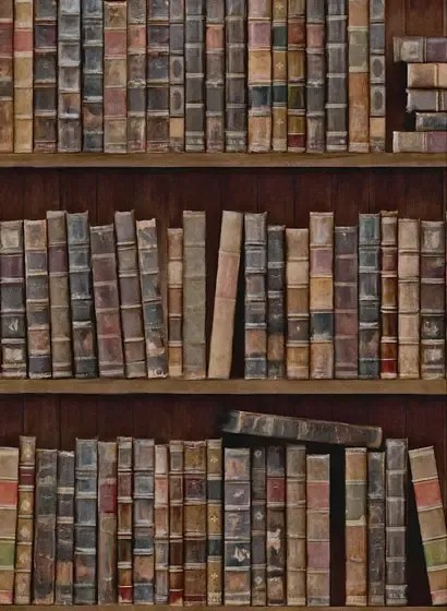 Mindthegap Carta da parati Book Shelves - WP20112