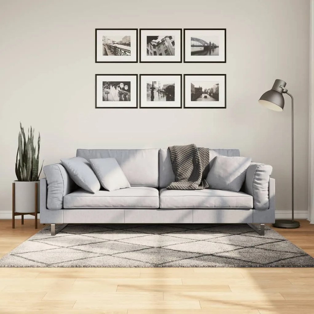 Tappeto Shaggy Pamplona Pelo Lungo Beige E Antracite 120x170 Cm /