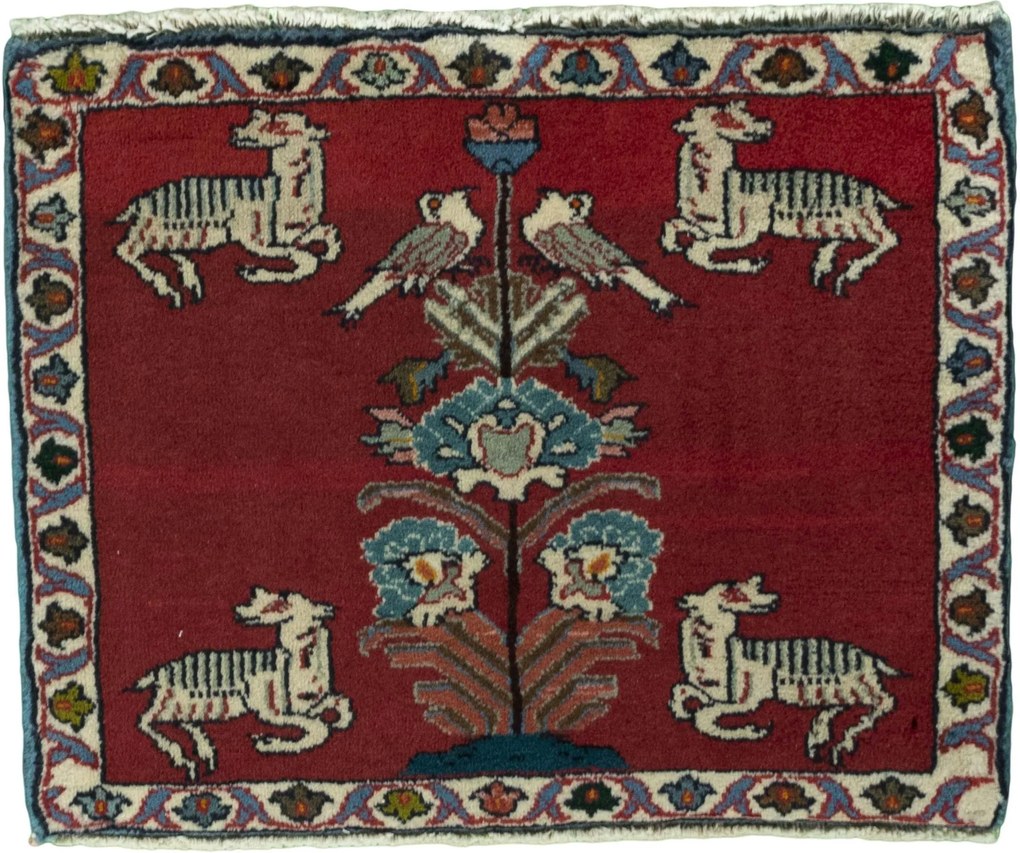 Shiraz Tappeto persiano 50 x 60 Rosso (Iran) Annodato A Mano