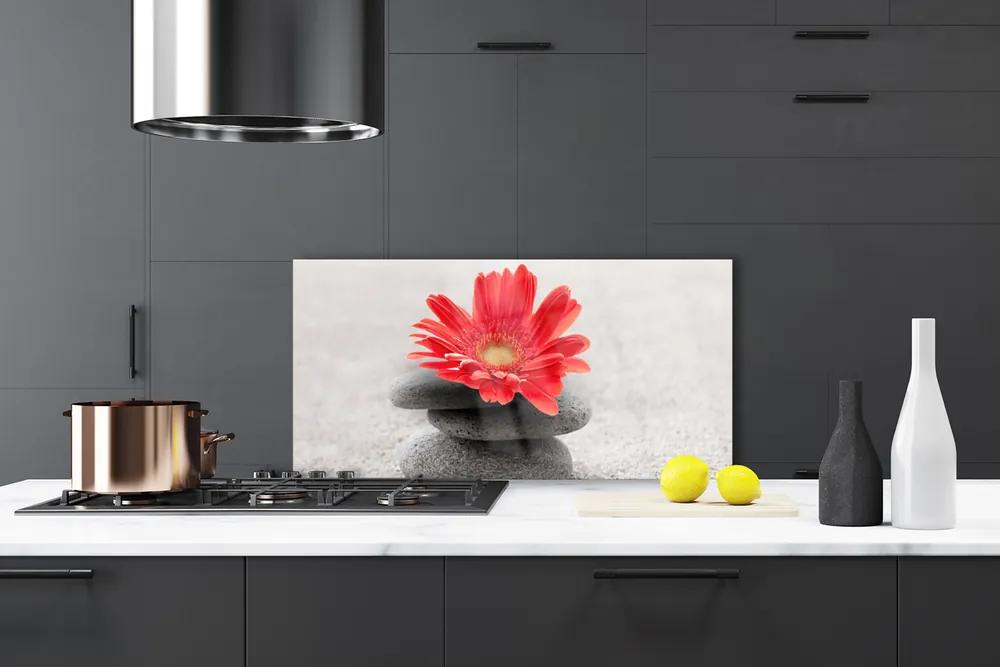 Pannello paraschizzi cucina Fiore di gerbera 100x50 cm