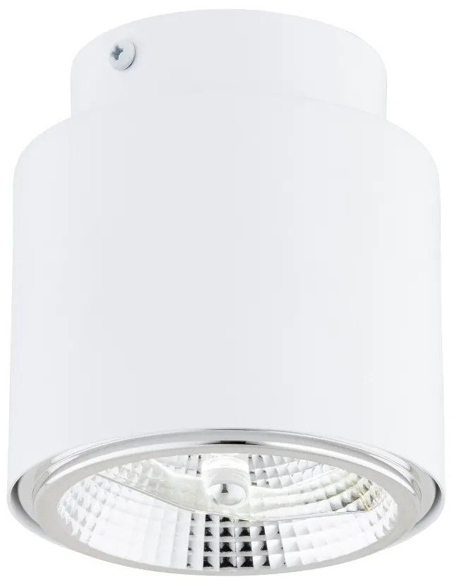 Lampada da Soffitto in Acciaio AR111 NANO 1 Bianco Colore del corpo Bianco