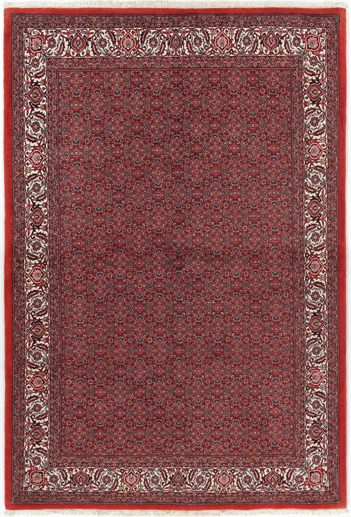 Bidjar Tappeto persiano 170x250 (Iran) Annodato A Mano