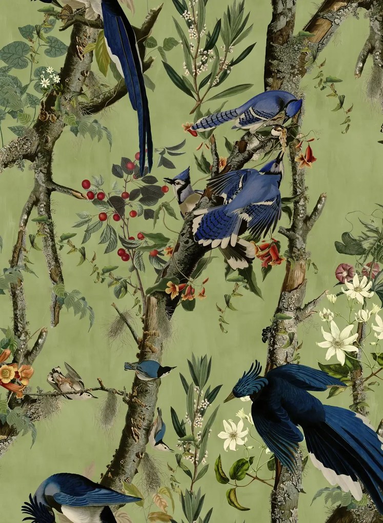Mindthegap Carta da parati Birds of Danube - WP20715