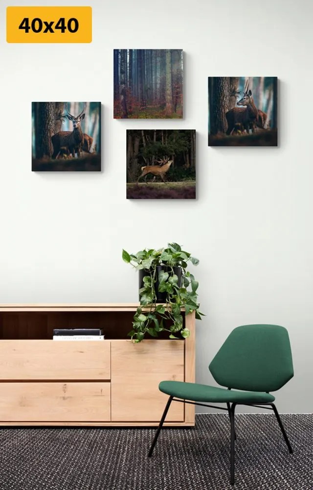 Set di quadri – Incanto degli animali del bosco